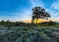 2020-07-17/d1ad92e970d6ff449395b2f089bf1d5a_4960af7b8e42daecf7e360edc9b662cb