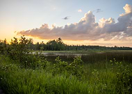 2020-07-18/f1c6d17356f54cae56c8e2bb4c7cdf66_28f92621b5d1537429ef3a311964d725