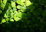 2020-07-20/3133fbab7e7ec0b386e610677c2cc55f_bfca39533c995009113af73da9dee2e8