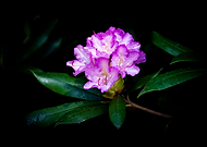 2020-07-20/8965f9ed2ea7866483b7ef303b7a53bf_1ad566d69ecebd281238ea47bfa0dc27