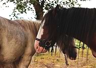 2020-07-21/1cd32deb26bf5be85104aad108dceb19_6f1be7a7f93a8d69135ab089fa1de428