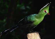 2020-07-23/0b8331752ea21cfeac9dcd7c1fe223e7_7602208a0b8163a1b185655966caec55