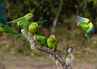 2020-07-23/209c08c0111ebdee0ef09dcafbc9223e_3afd883d82cc097a343b30d004938bf4