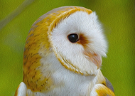 2020-07-23/2be78a752573b7311b50b616c4c4d090_df0d77382c7b049fe41b5d229b31c109