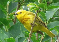 2020-07-23/774d74627ab40a18920b4656c753939d_73ed7959eb42ccbef8f39f3d6d6793f7