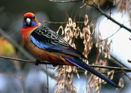 2020-07-23/8b087847eac3371b86ede5d953b16406_43e26df009c566488f42172c15132572