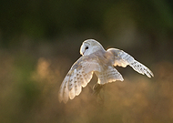 2020-07-23/bc1d9d00690126f0f9b62b6cd699f140_278adefd0cc2aa50f8a49ccec5a43308