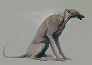 2020-07-23/c65fb80b5cd797c8d60943737eee424f_56d9b9ddc50df21abd3fffde6fb17689