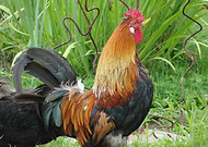 2020-07-23/fd55079877a9f5eee5b78c3364ccc4c2_04f2e5e63d92704c79de852473e20e19