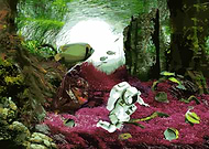 2020-07-27/b02e12e3611d832eea8445bdebe3e266_976436cddc83bc068cc5aeaf452c8bd3