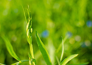 2020-07-28/3e37ae4ac396d925c1f5ac95da81f588_f54c3fa7bd35712bb8baf335c58910fb