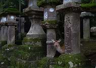 2020-07-28/819cb540dfb95cbcfc5255cb8d329515_2206970f06d292a215fe92542ceb883a