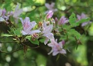 2020-07-28/8f9dd642894ef87ca078116635690fe7_fdce45eb3ef9832b1fae538cd34566d7