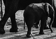 2020-07-28/c6951cd7d200084119f9cee6b5242c52_c96e88ef718156686a58f30f9b7f5f18