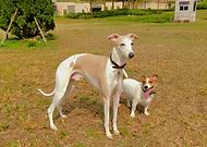 2020-07-29/b08a92054dce00e60e1749698c1fd1f0_1acce55b469351b4bba8cae4753b1f15