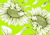 2020-07-30/0dcd254e008fec8a98323e25597745ab_0994bd25c297f16e9a618ebf9fb69208