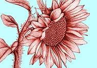 2020-07-30/4f17676d730becf5e52e7058500dc719_8276f045242d968c8ebbdc4ae5f7bf4b