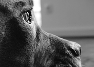 2020-08-02/02bc52fe95e9c284daa83fbd3ac85813_0bfe3b2087b1f4432835b43fd265bf88