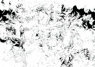 2020-08-02/448fd66c894f8778ec20f6a62351ac11_38d0c63a601b3e728d531d6d005a73bd