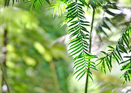 2020-08-02/858dac3f2366af67c0516e77822240f8_413de3c1cd470d84c4a788ba9c3cd992