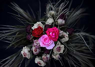 2020-08-03/256249829c1393bf730366757d0cb818_2c3266ce20943130161c647d13347860