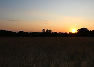 2020-08-04/4ad56d4900dc795e0eedd7f9f515eae8_f81cd3be86ec25276b7c757ba80e624c