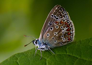 2020-08-04/982ec546747b31b81757323c559e7ba3_8b1425468b3e61573fa984a5dc5d9188