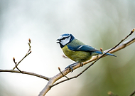 2020-08-05/1e1fdf4e8f37d5969ff08c8c4c9d8150_829808491e07f628360df0547e1fd849