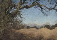 2020-08-06/104147adc4b8ec493f2f17a6e1fdc842_85c7ffd057a3186ae3958856f59f69da