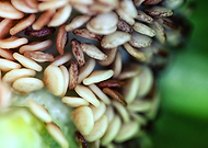 2020-08-07/926ca297da3e4896d01605d0c88374ec_743d1204fc42036f41224588909dc2f7