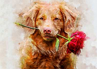 2020-08-09/b1ccce36e42c0188b8ab970be986bef2_4a0de2a59615b48847b00f6e550e91e4