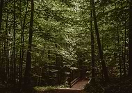 2020-08-14/f9201842c684cbd8a51baf9435ab6cac_472f2353554e21db85339a9aa01809f8