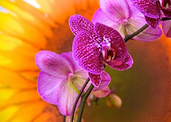 2020-08-19/84b8bd7f1f0e9f638c67dc571bef4940_1cc749a038d5c68a0e711b2a09d7b9be