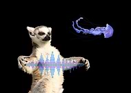 2020-08-24/859f1ce831650cd8ff1d7c758f1b4f46_c736722ed8afa5179b310cbe74e8888e