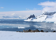 2020-08-25/2d20bd614c7fe6e332702a8856f6631a_6f32ab0e0ae9dc3314ba3d614384419c