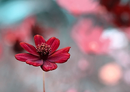 2020-08-26/7521f42181fc60e743fbac9eddf50ac7_fb7caa1e5c39e6b6adf0d7938a952e43