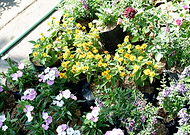 2020-08-28/5f1a7cb2d9c67056bacd8fb811c77816_6252379b864bc9d3b2142bd4939d8e17