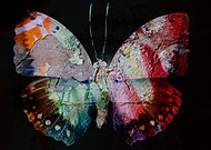 2020-08-29/4f3d83bfe4d769eab8e115f06ed0d6a9_e370f8af472af60c6497ac6f5b066dd5