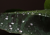 2020-08-31/6bfa53153c85d0b724c687c3eff48f30_46ba7af46a68e6b9c3f80bc2ce25c5a8