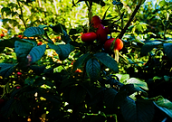 2020-09-14/b3c162c83e9257b620736f9ccd6e5ba7_844afbeeafb5dc7e6cdc9f22c2ff6f53