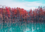 2020-09-16/568b1dc1370e248690d6994346f161ee_039338a62a3b13e3b817122761a5ab9b