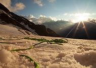 2020-09-17/63e31ba6374febe64b4d1925d7fbf07a_eb0c480eb1c86c6d46dd7a9cbcb03306