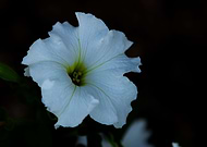 2020-09-18/8514d9d91a27d102195a9cc482309201_97c18fc3362e55dc5085d5d08fcb16d0