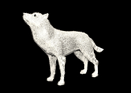 2020-09-21/da2d9c2a8429ff557ba1266f16618cba_fb92d2abd49eff03020166eabad4fff2