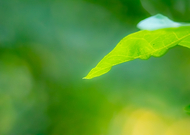 2020-09-24/9cdb29441dc89648f963cfe403952063_9010b94d4fcd12681881fd04de334784