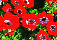 2020-09-26/d98cc4796ac18cf134322a67ca379479_1750128cc61b75ebed9989b2eb89593c