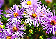 2020-09-26/e63672e5d5cd5a199b521108f9f38a35_bf2045cd50c98ab8e9e11a351abce818