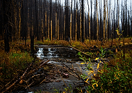 2020-10-11/04b97384feab8f79ab7615fe8230a6ba_63215ec2e5bebbc2419b5d4f1c4a435c