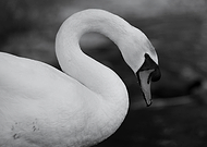 2020-10-28/44b7c447bbbb1eac5cfe02832e1f1670_96fb91e48735a684246f9ea0c2f7cc77