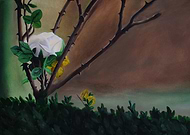 2020-11-05/2008bb3ffa4418bf05862eb8575fca56_005851d065f36c10dfe16a455f308f35